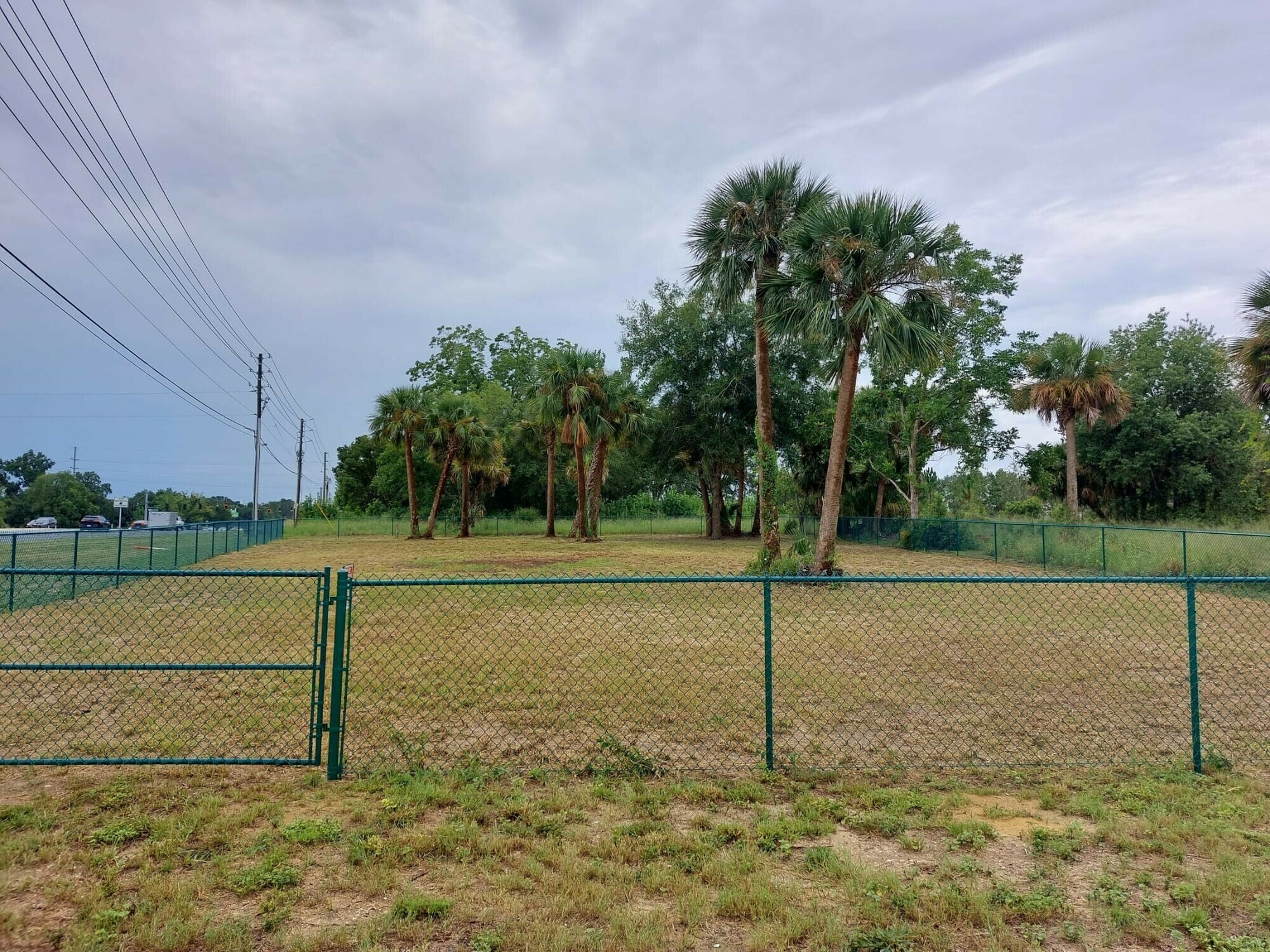 Highland Oaks Blvd., Minneola, FL for Sale