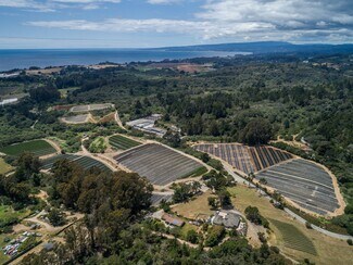 Watsonville, CA Agricultural Land - 117 Rancho Rd
