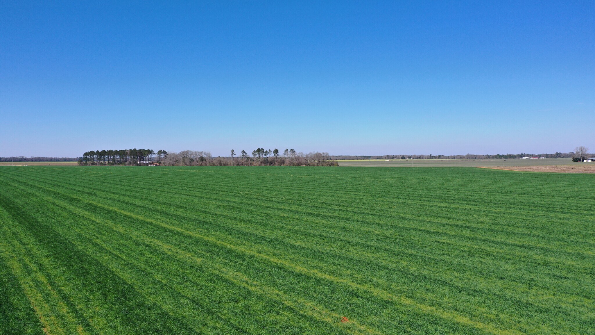 Lot 14 Davis Pond Rd rd, Atmore, AL for Sale