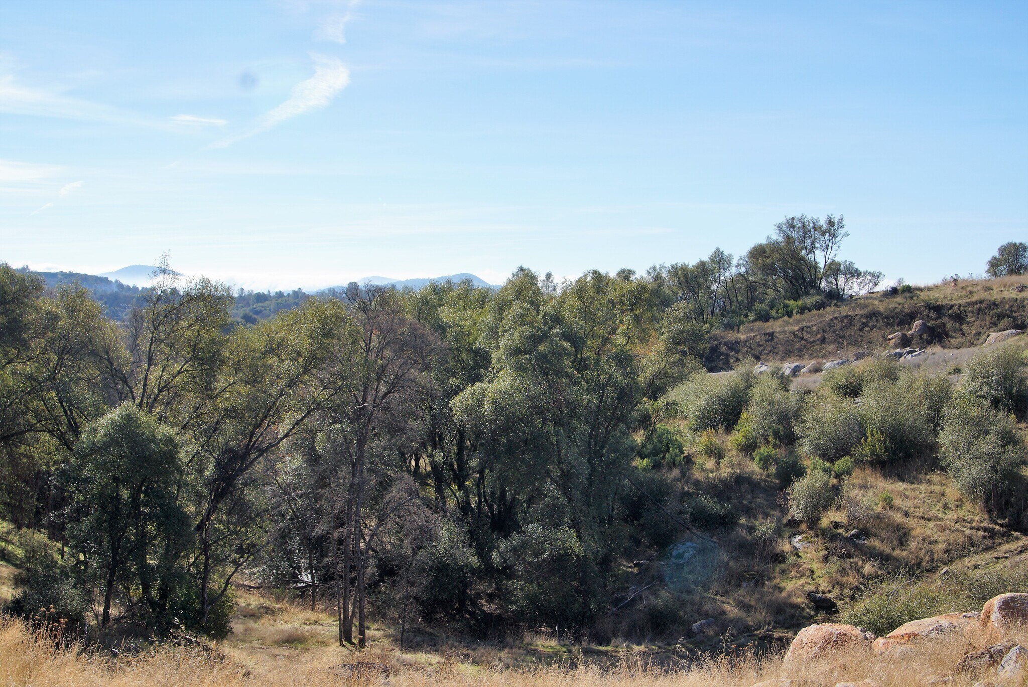 1 Eagle Ridge Dr, Sonora, CA for Sale