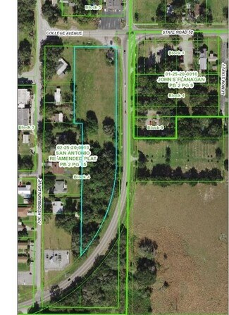 San Antonio, FL Commercial Land - 32946 College Ave