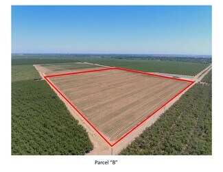 Vernalis, CA Agricultural Land - 2155 Center Road
