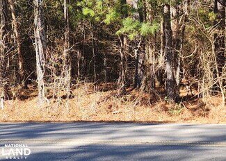 Langston, AL Commercial Land - 0 S Sauty Rd Langston, AL Commercial Land - 0 S Sauty Rd