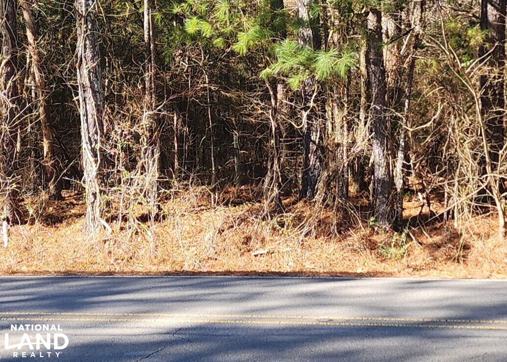 0 S Sauty Rd, Langston, AL for Sale