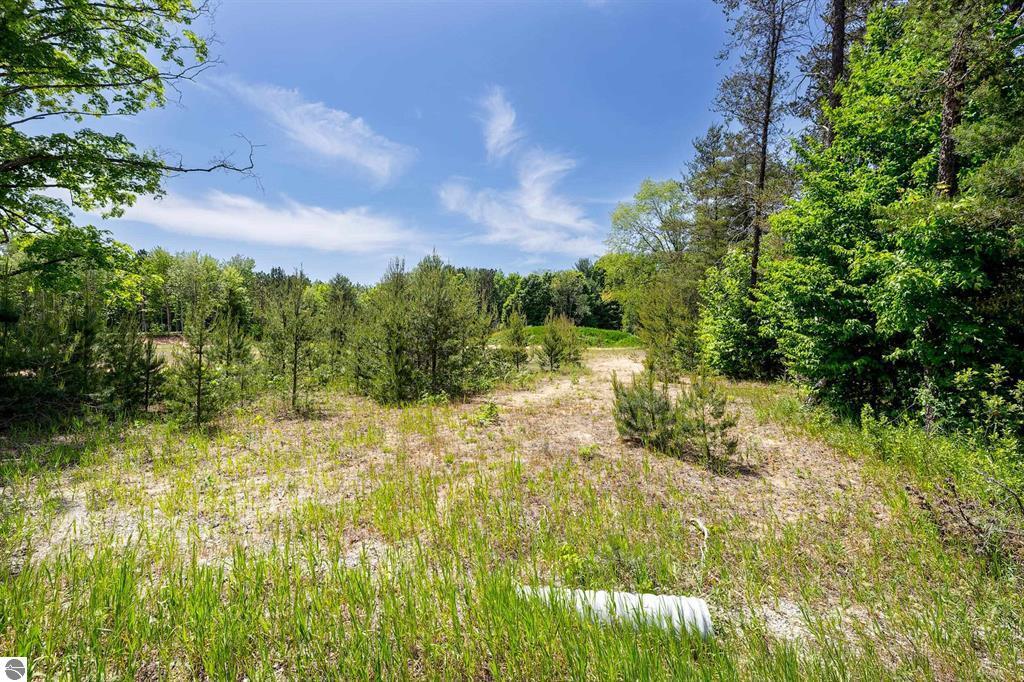 7764 Weldon Road rd, Thompsonville, MI for Sale