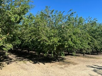 Selma, CA Agricultural - E. side of S Chestnut N. of .E Mountain View ave