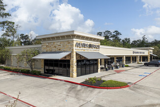 The Woodlands, TX Retail - 1400 Research Forest Dr