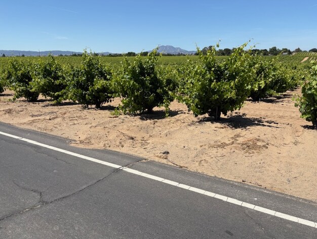 Residential Development Land on Rose Ave Ave, Oakley, CA for Sale