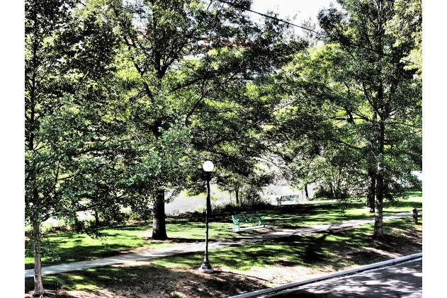 727 Riverside Dr, Reno, NV for Rent