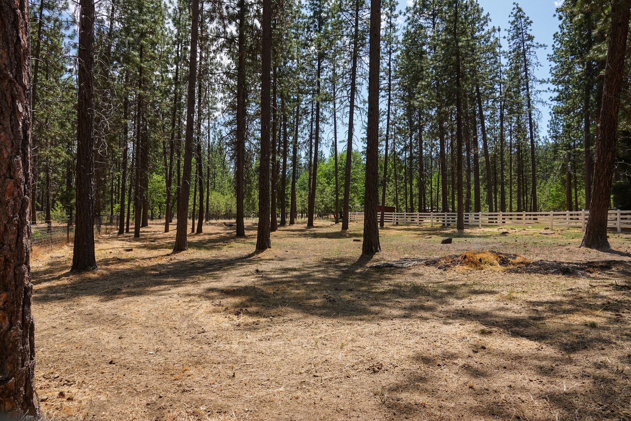 4216 N Highway 3, Etna, CA for Sale