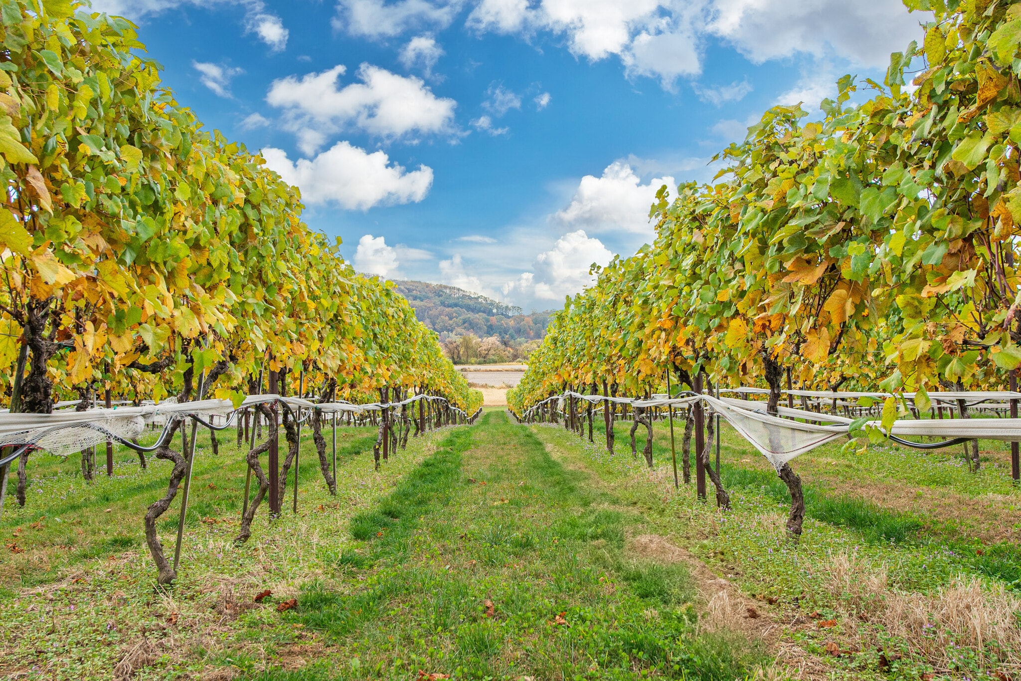 33 County Road 627, Phillipsburg, NJ for Sale