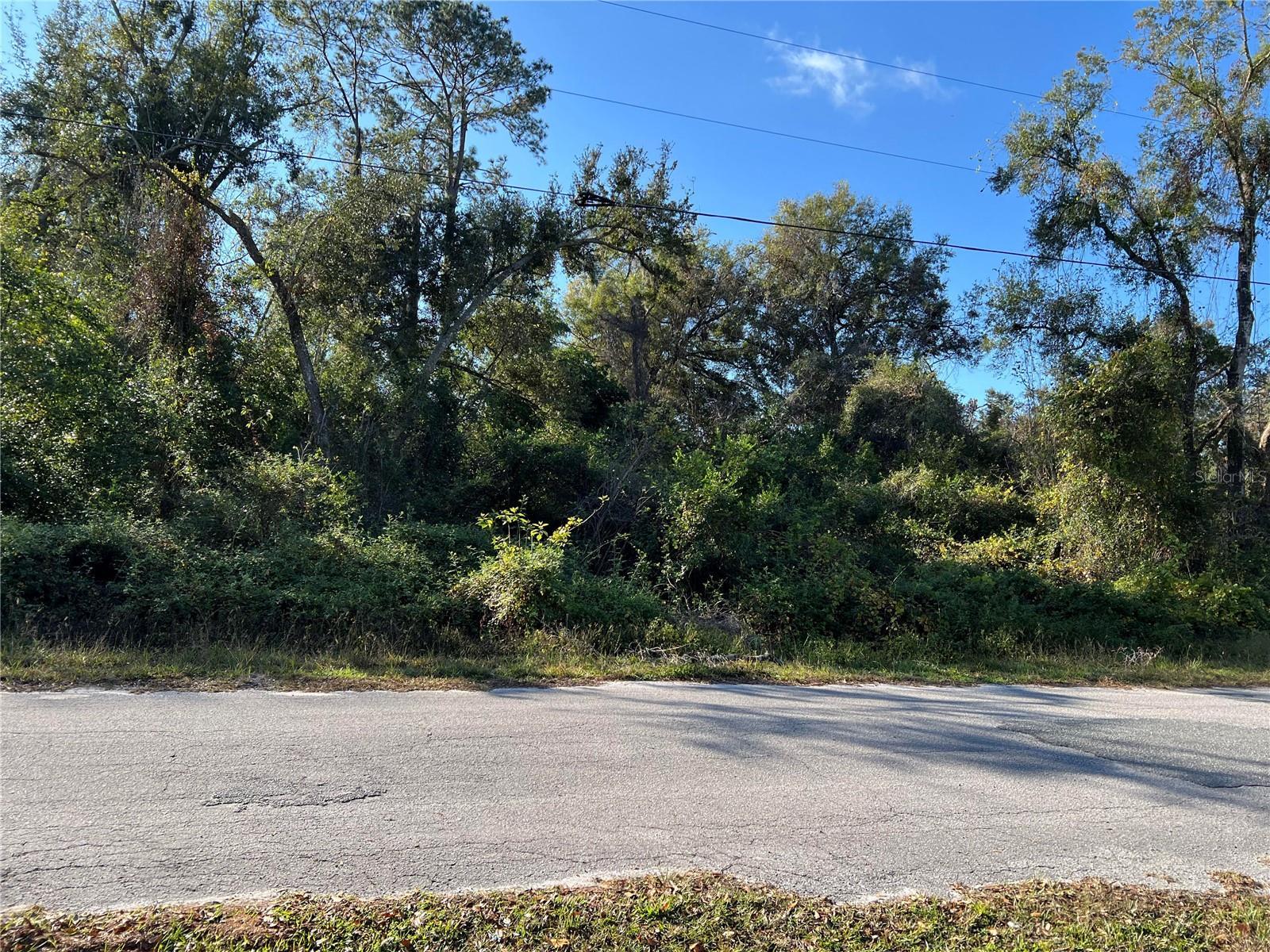 County Road 690, Webster, FL for Sale