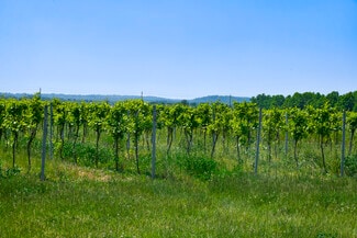 Niagara-On-The-Lake, ON Agricultural - 497 Line 5 Rd Niagara-On-The-Lake, ON Agricultural - 497 Line 5 Rd