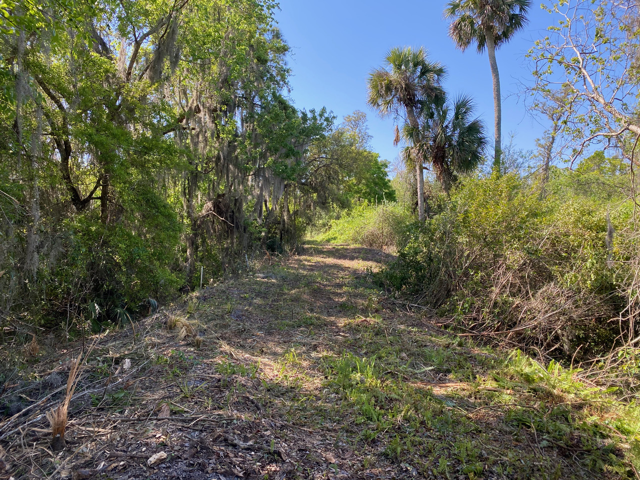 Lot 196, New Smyrna Beach, FL for Sale