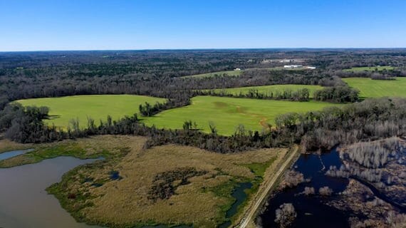 Highway 431, Eufaula, AL for Sale