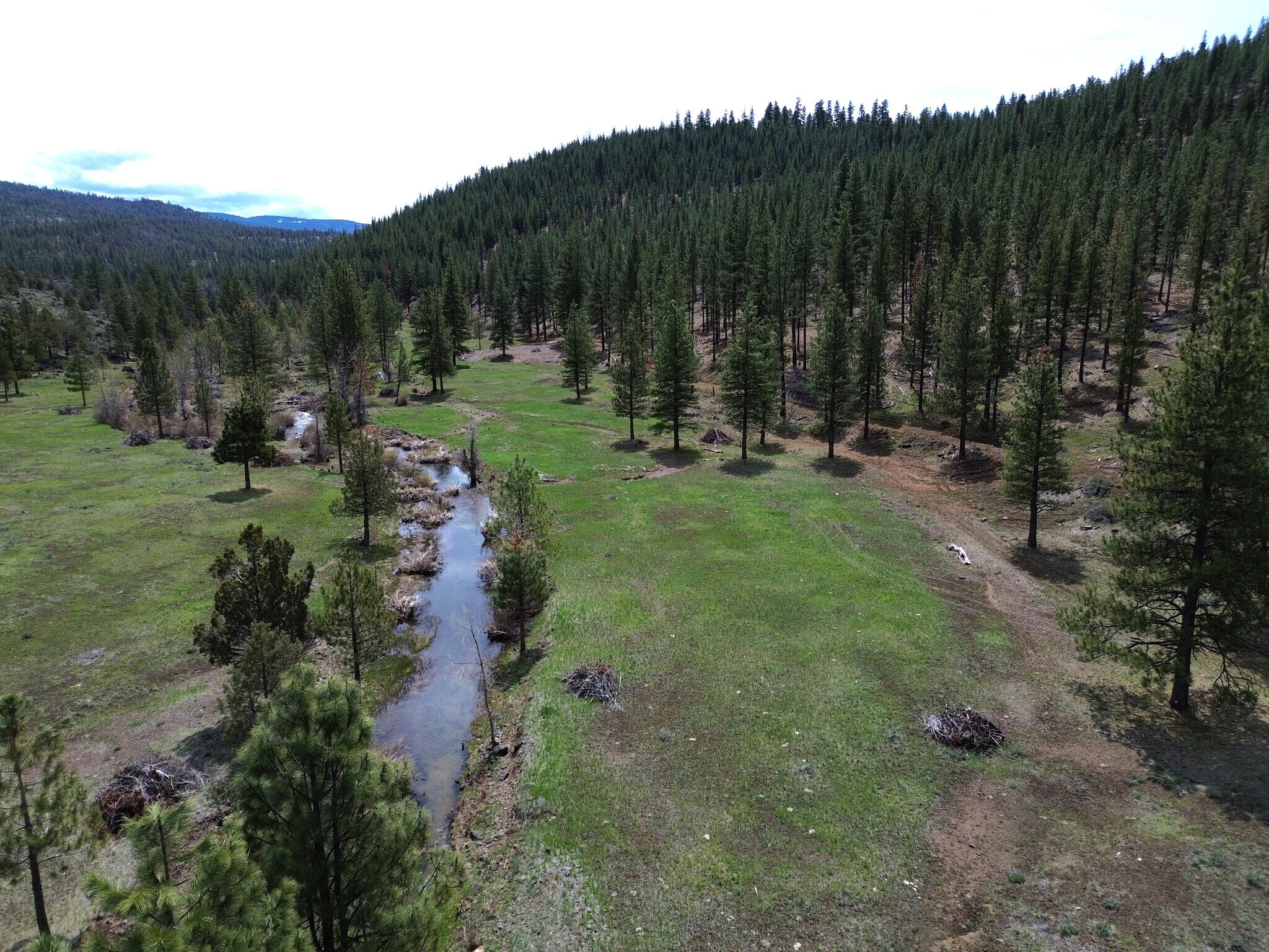 000 Roney Flat Road, Adin, CA for Sale