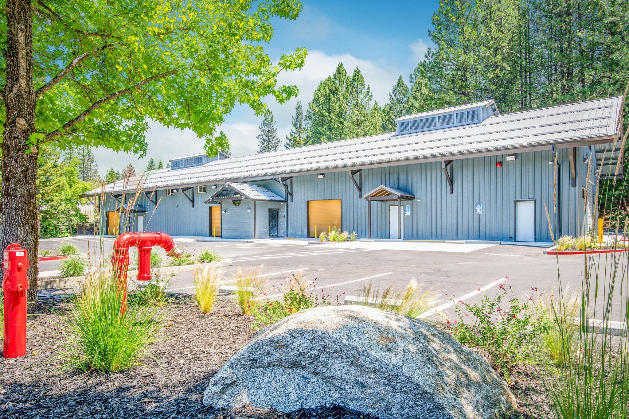 545 Searls Ave, Nevada City, CA for Rent