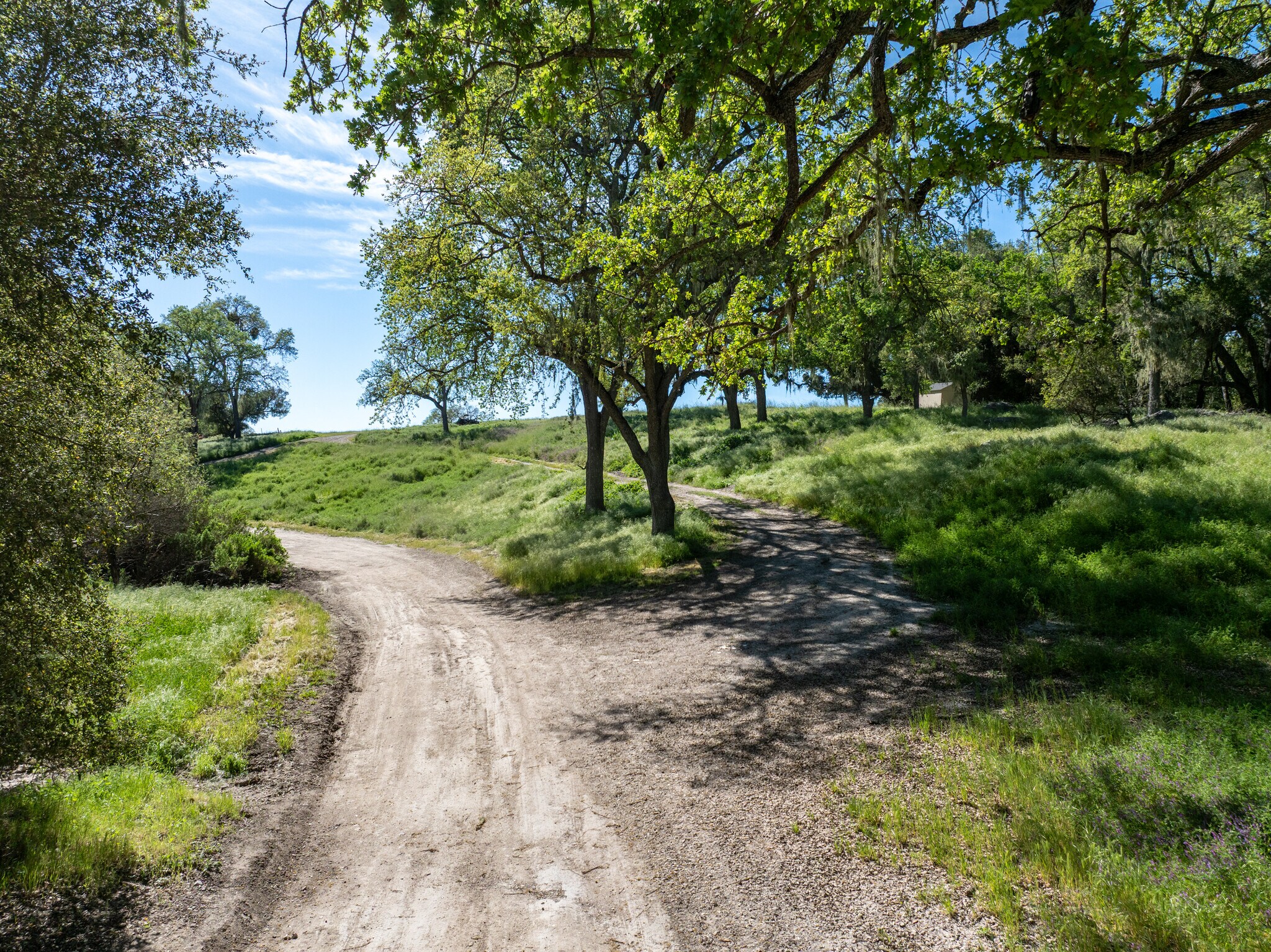8 Championship Ln, Templeton, CA for Sale