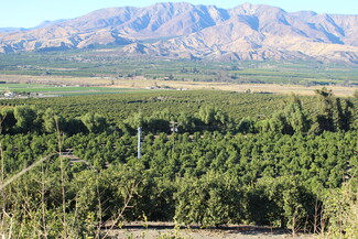 Santa Paula, CA Agricultural - 21153 South Mountain Rd