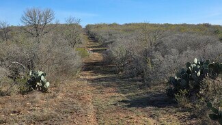 Devine, TX Commercial Land - 00 County Road 7563