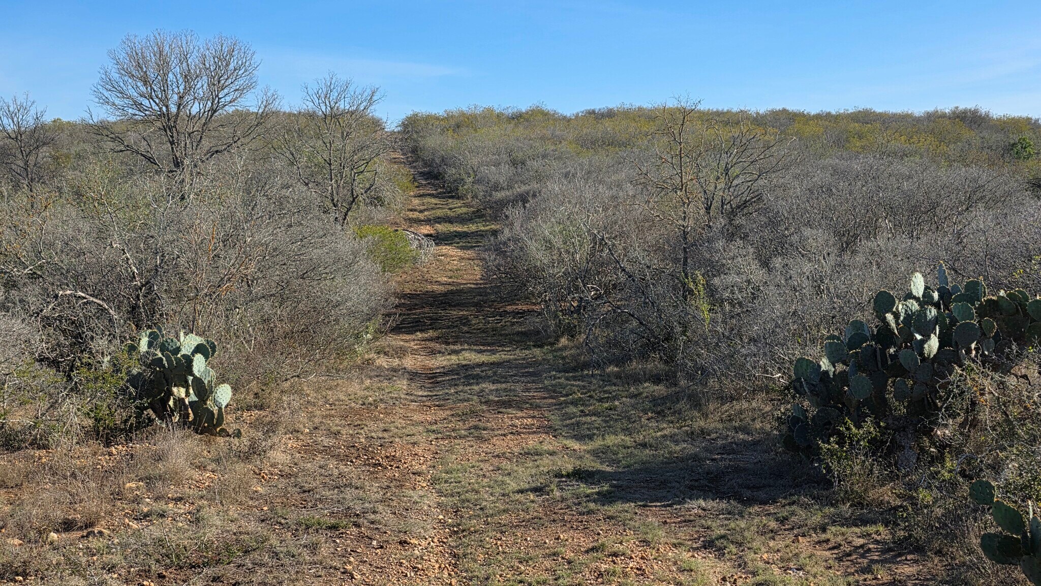 00 County Road 7563, Devine, TX for Sale