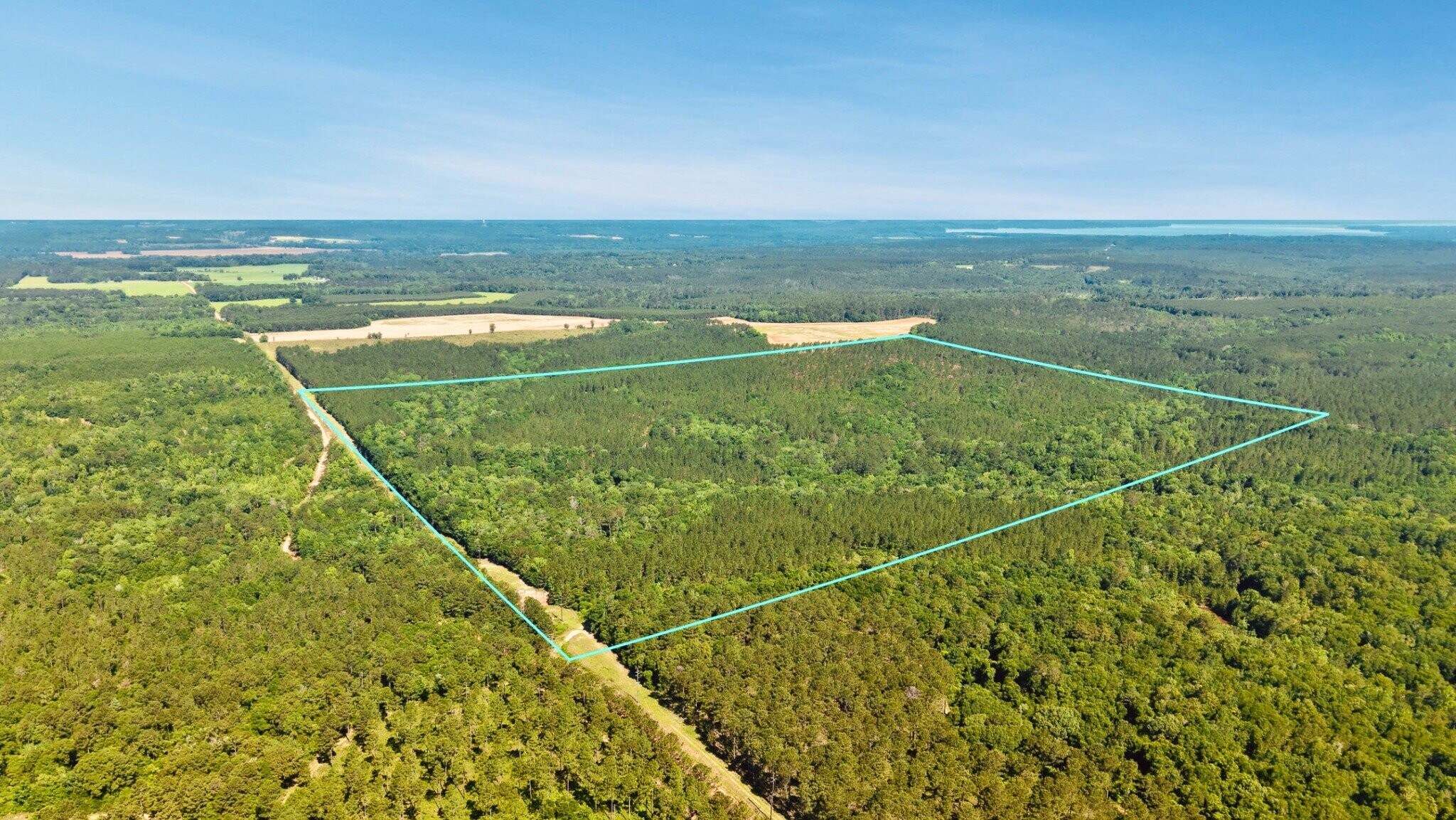 Pine Grove Church Rd, Fort Gaines, GA for Sale