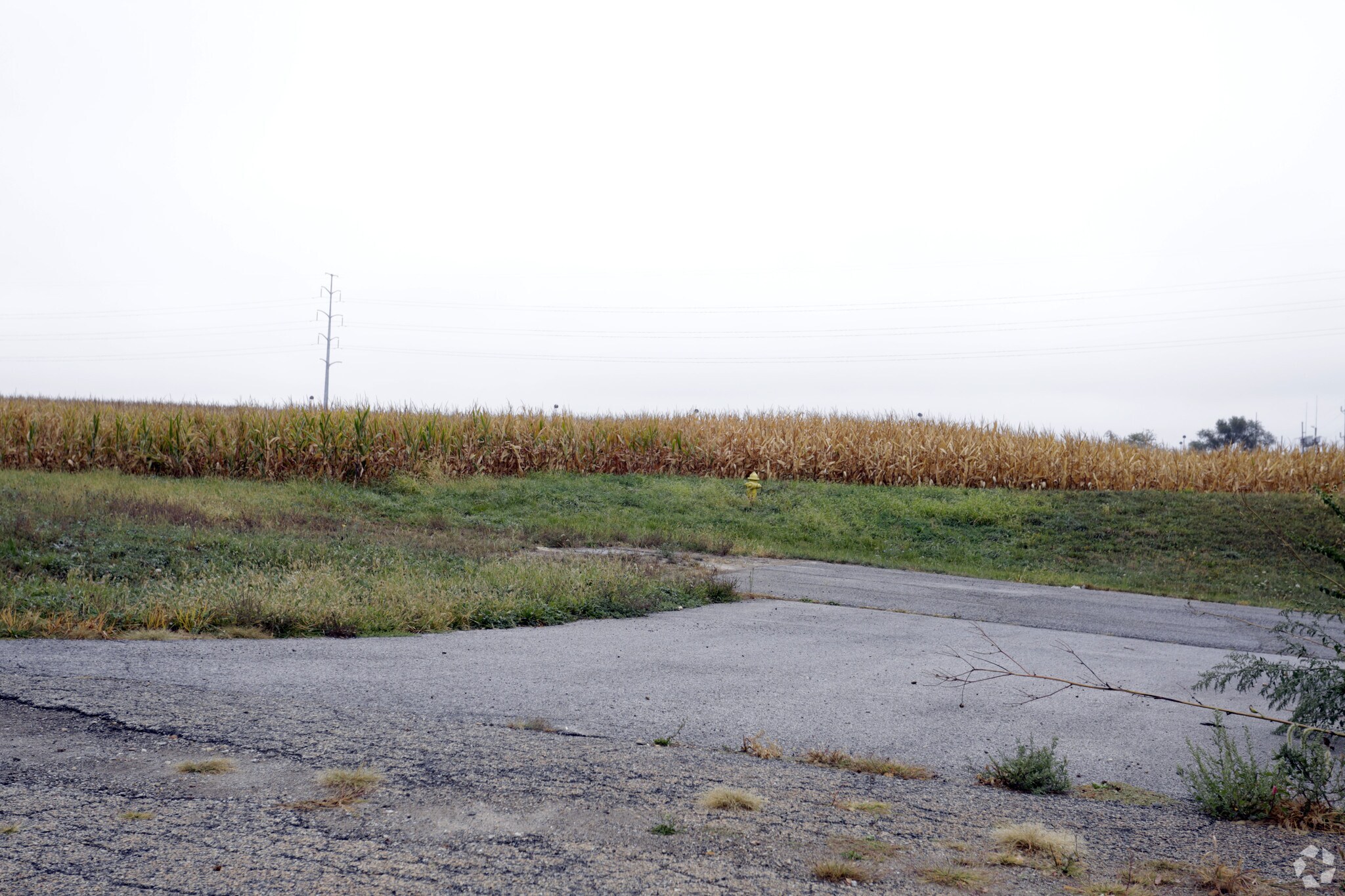Route 24, Washington, IL for Rent