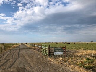 Dixon, CA Agricultural - Swan Road