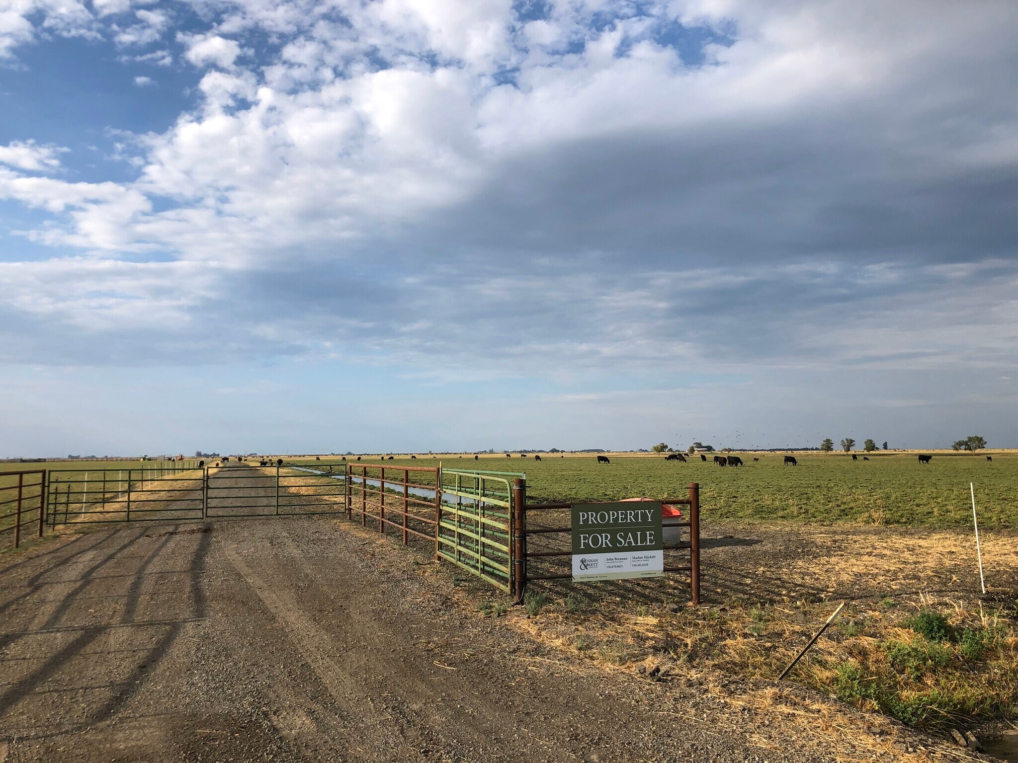 Swan Road, Dixon, CA for Sale