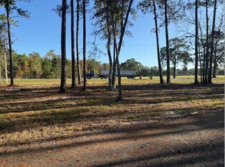 Pembroke, GA Commercial Land - 2953 GA Highway 67 N Pembroke, GA Commercial Land - 2953 GA Highway 67 N