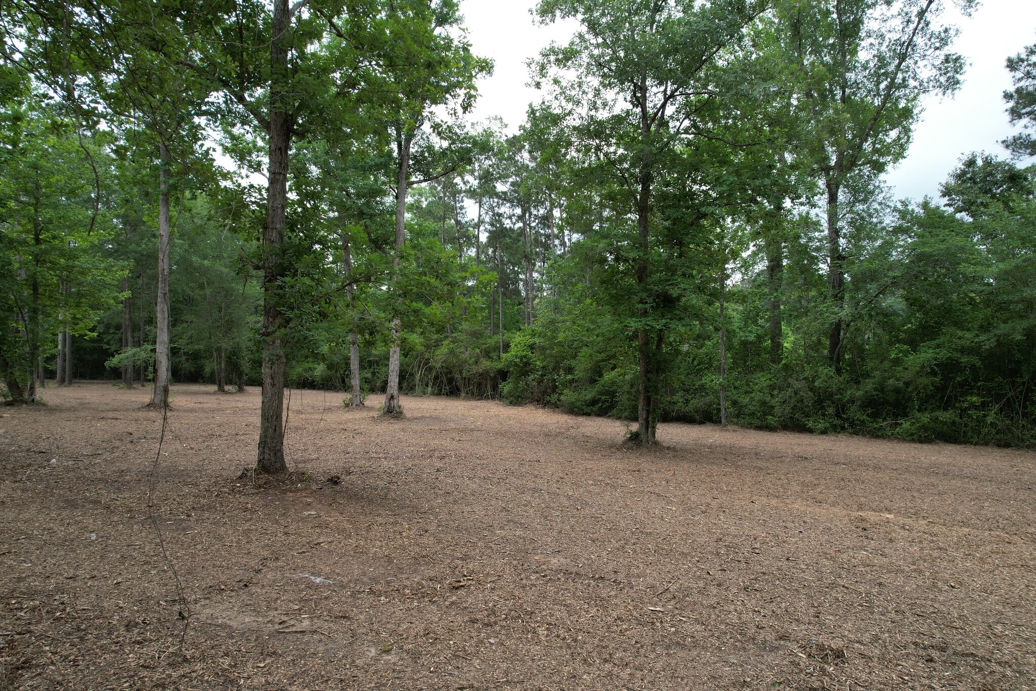 6204 U.S. 190 W w, Livingston, TX for Sale