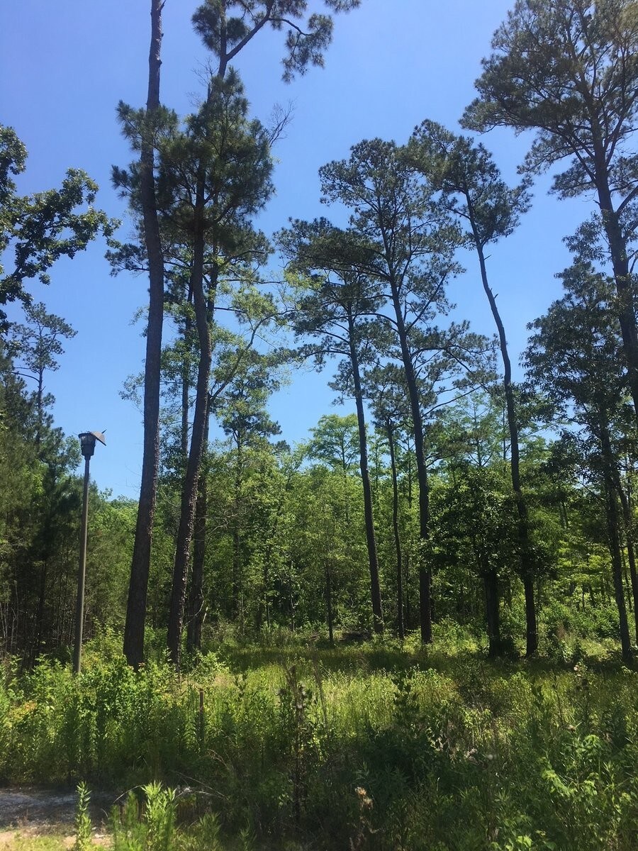 42231 Highway 190, Slidell, LA for Sale