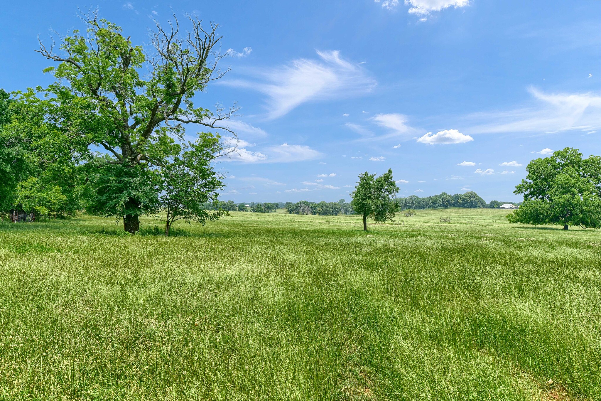 TBD Bones Chapel Rd, Whitesboro, TX for Sale