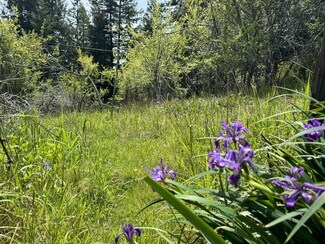 Westport, CA Commercial - 23501 Branscomb Rd