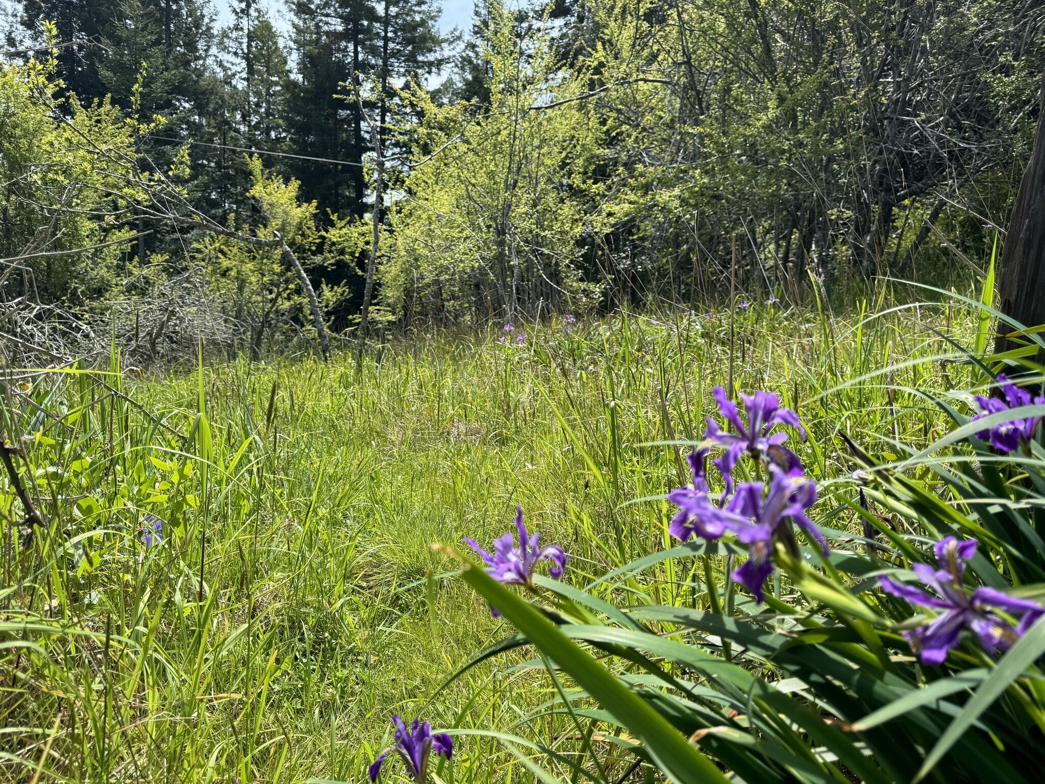 23501 Branscomb Rd, Westport, CA for Sale