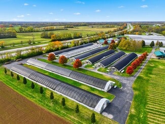 Lexington, KY Specialty - 4610 Hamilton Ln