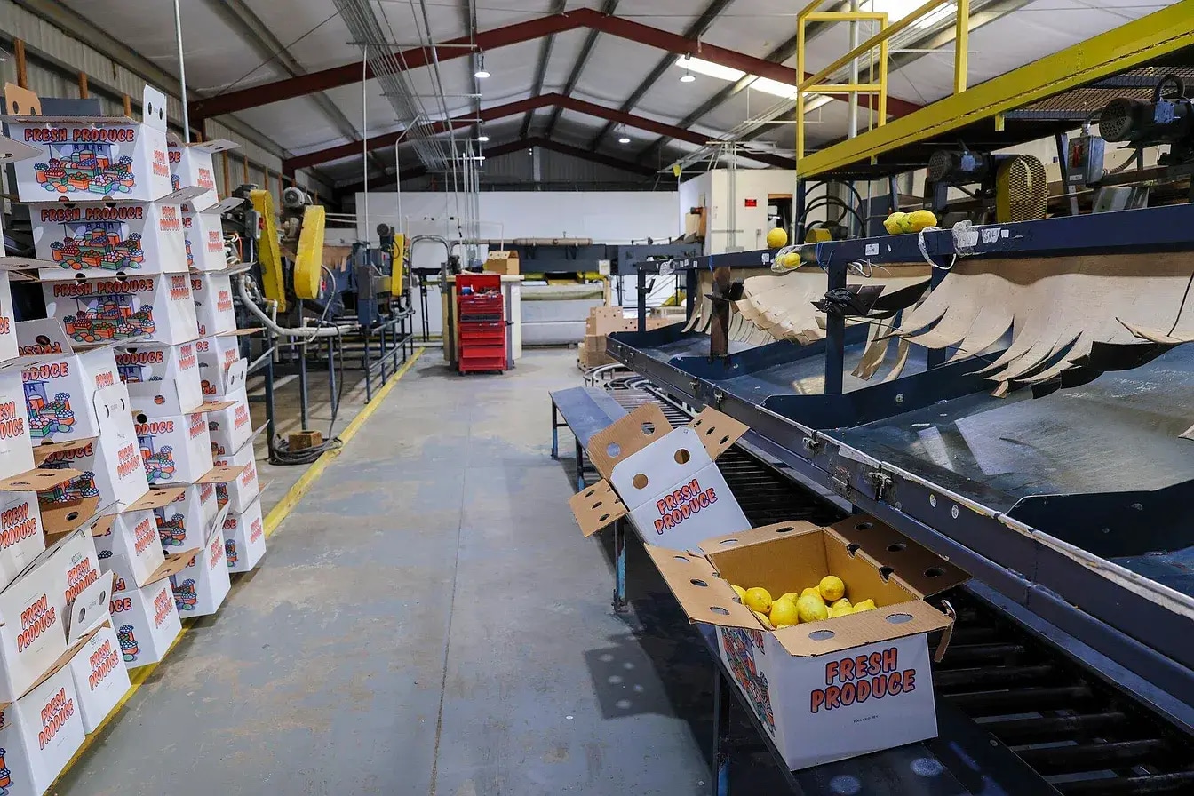 8507 Rd 256, Terra Bella, CA for Rent