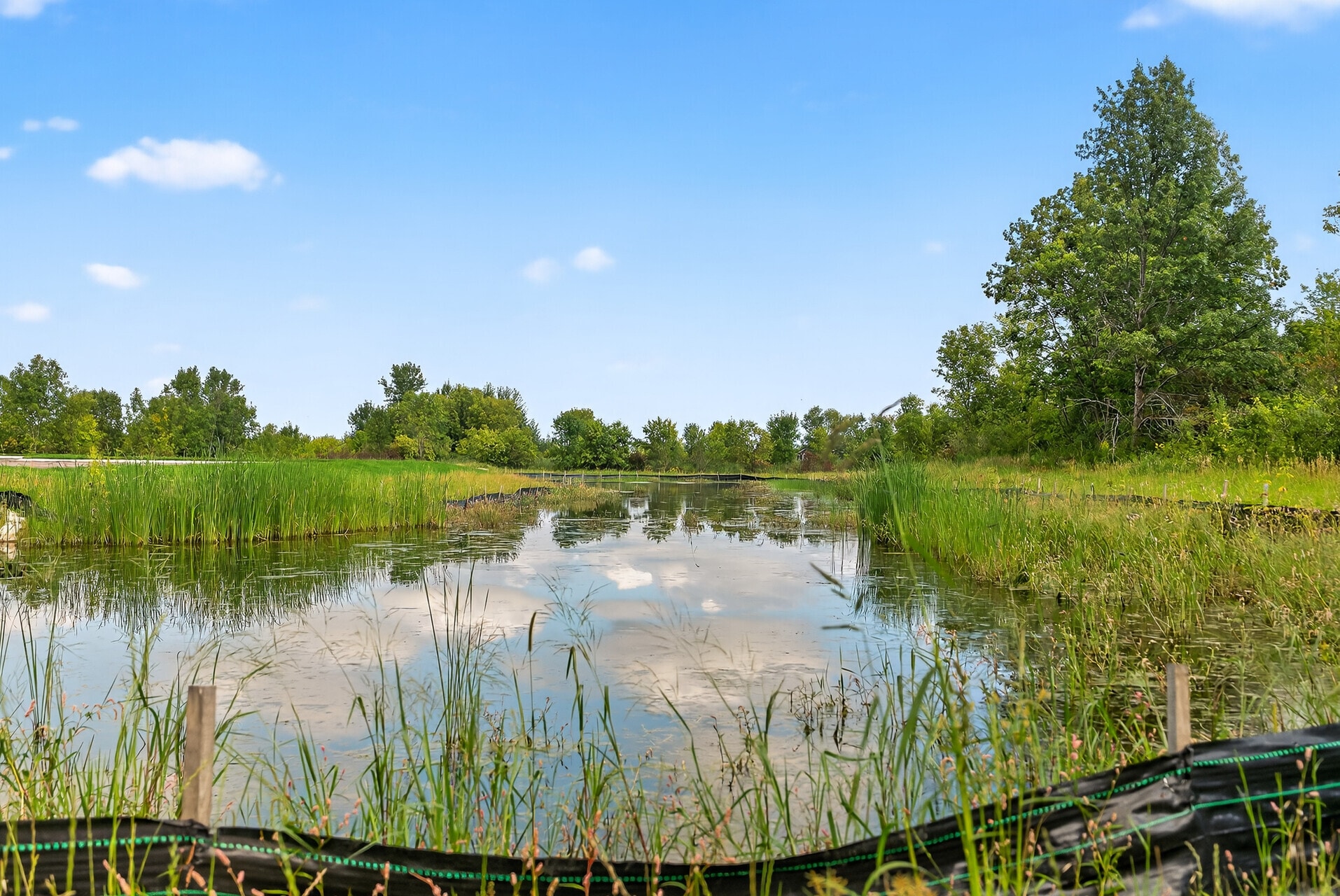 7040 Kaeding Ln NE, Albertville, MN for Sale