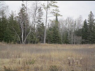 Mackinaw City, MI Commercial - 14230 Mackinaw Hwy