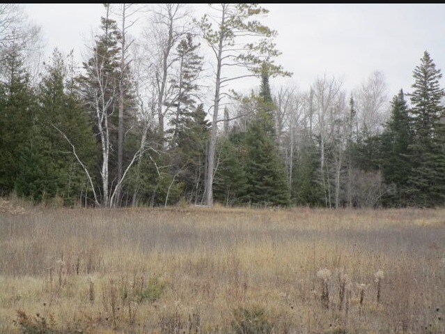 14230 Mackinaw Hwy, Mackinaw City, MI for Sale