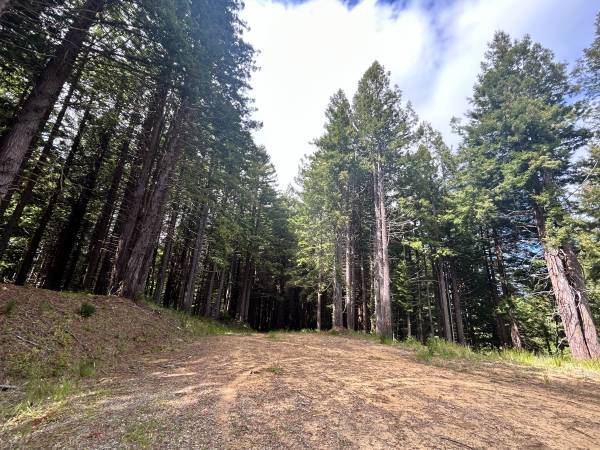 Torgersen Rd, Eureka, CA for Sale