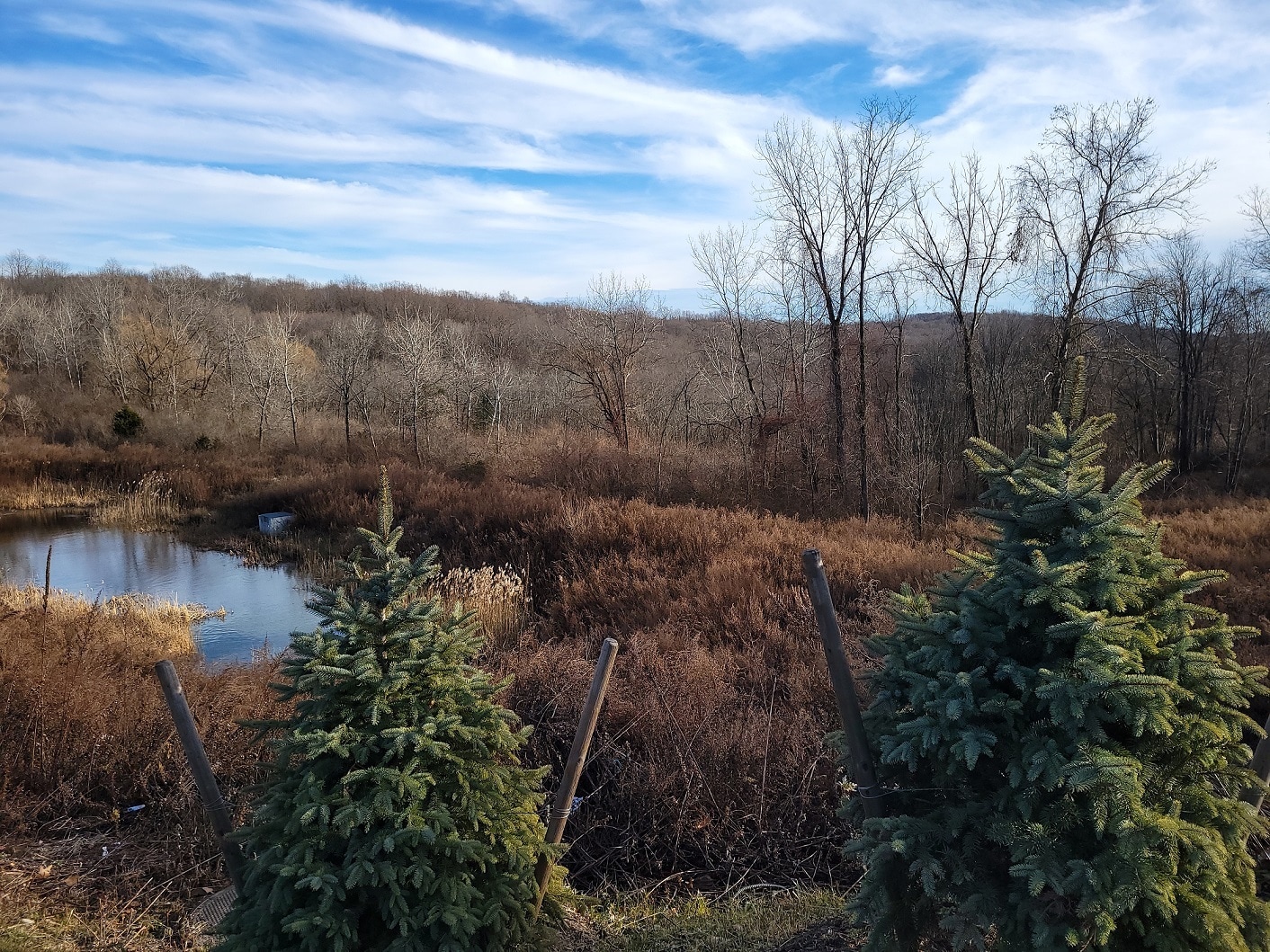 228 Mahopac Ave, Somers Township, NY for Sale