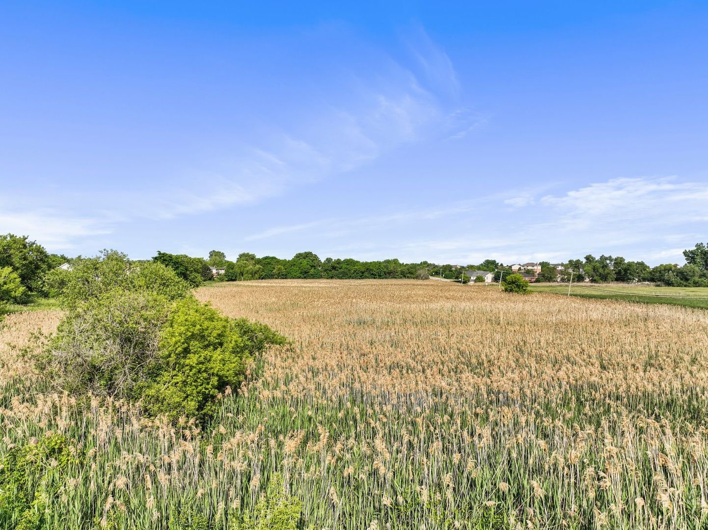 11501 143rd st, Orland Park, IL for Sale