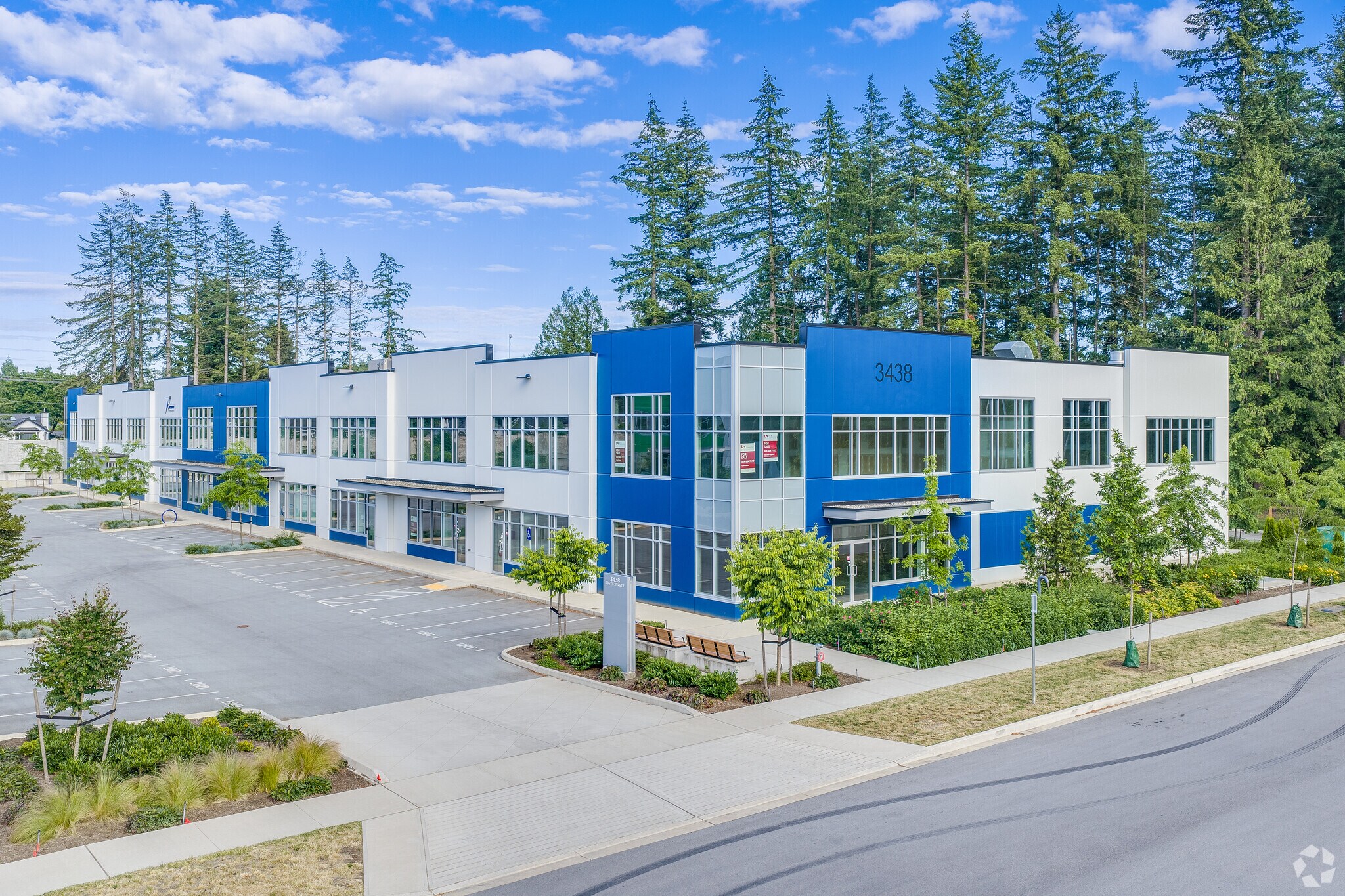 3438 195 St, Surrey, BC for Sale