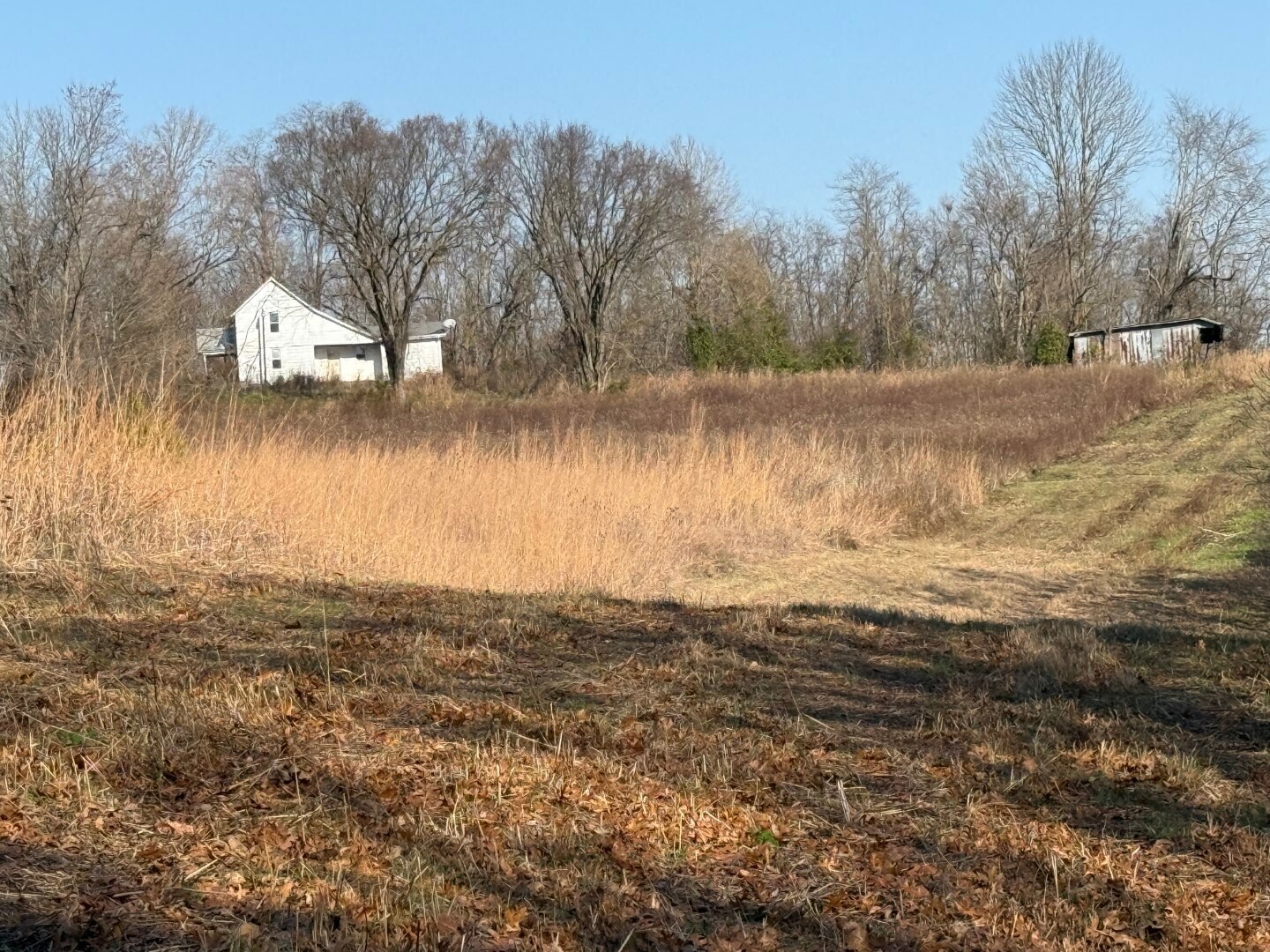 4604 Summersville Rd, Campbellsville, KY for Sale
