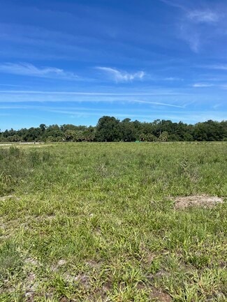 Umatilla, FL Commercial - Lake Ferns Road