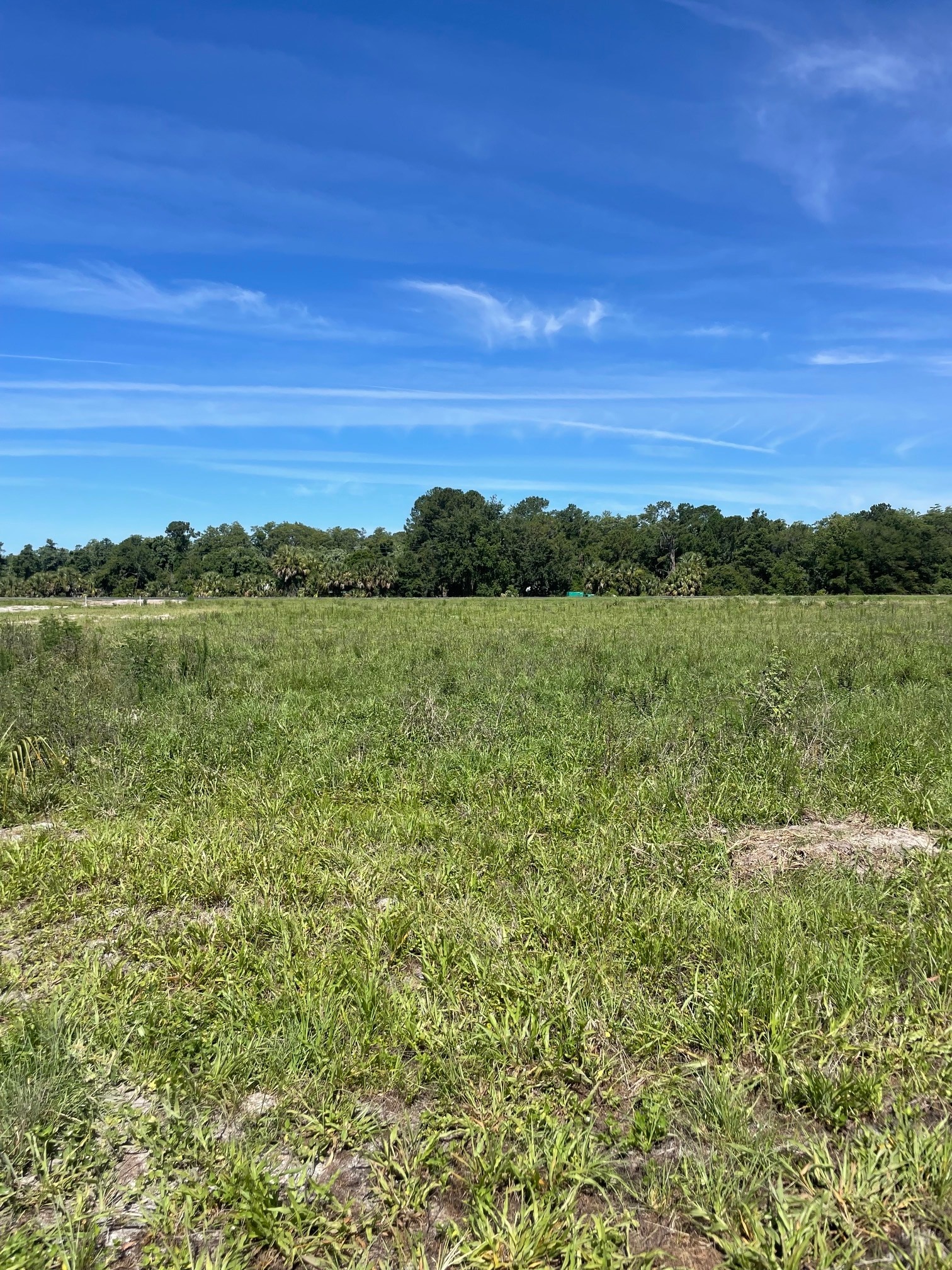 Lake Ferns Road, Umatilla, FL for Sale