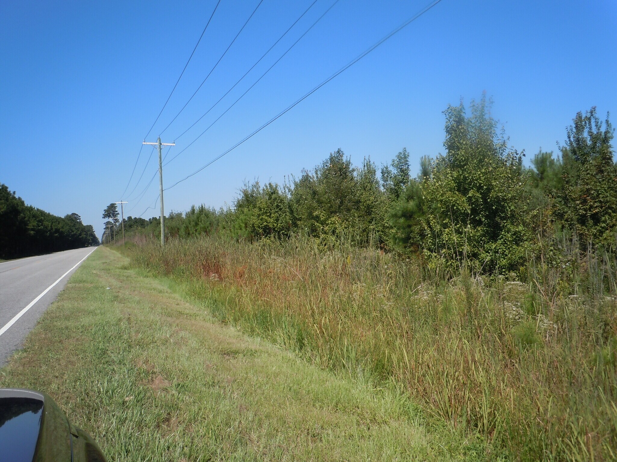 Near 10700 Andrew Jackson Highway, Fair Bluff, NC for Sale