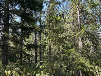 Mount Shasta, CA Residential - Castle Creek Rd
