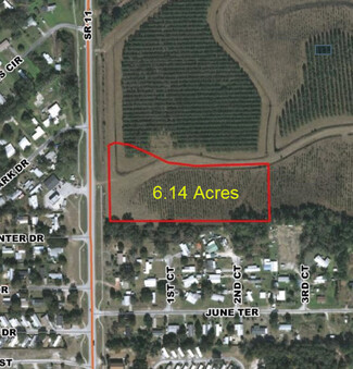 Deland, FL Commercial Land - 1 SR11